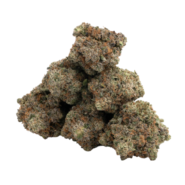 Ginger Snap (AAA+) - Image 2