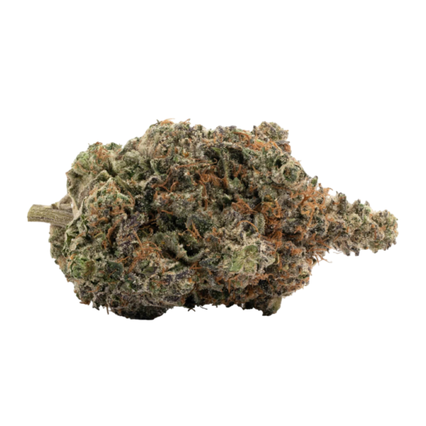 Ginger Snap (AAA+)