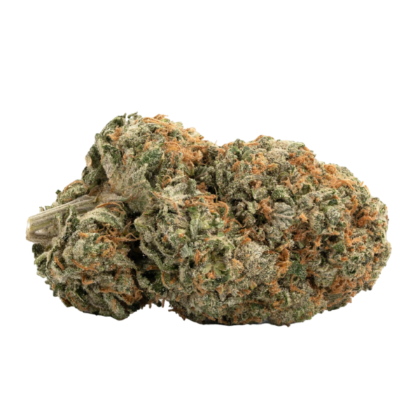 Lambs Bread (AAA+)