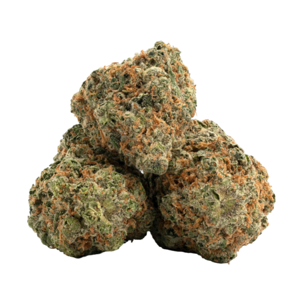 Lambs Bread (AAA+) - Image 2